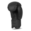 Boxing Gloves 10oz - Raptor - Origin Series