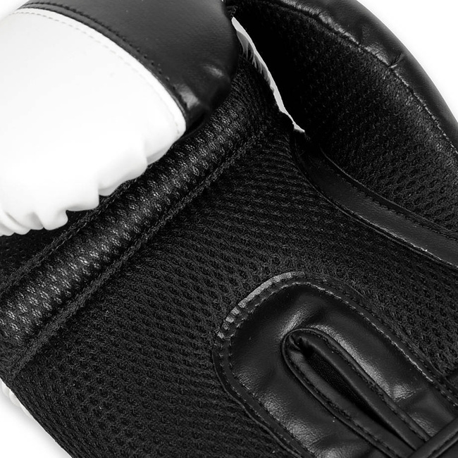 Boxing Gloves 10oz - Harmony - Valor Series