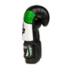 Boxing Gloves 10oz - Verde - Origin Series
