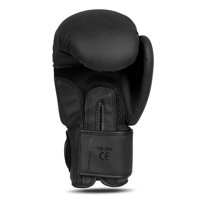 Boxing Gloves 10oz - Mono - Valor Series