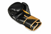 Boxing Gloves 12oz - Infinity - Origin Series