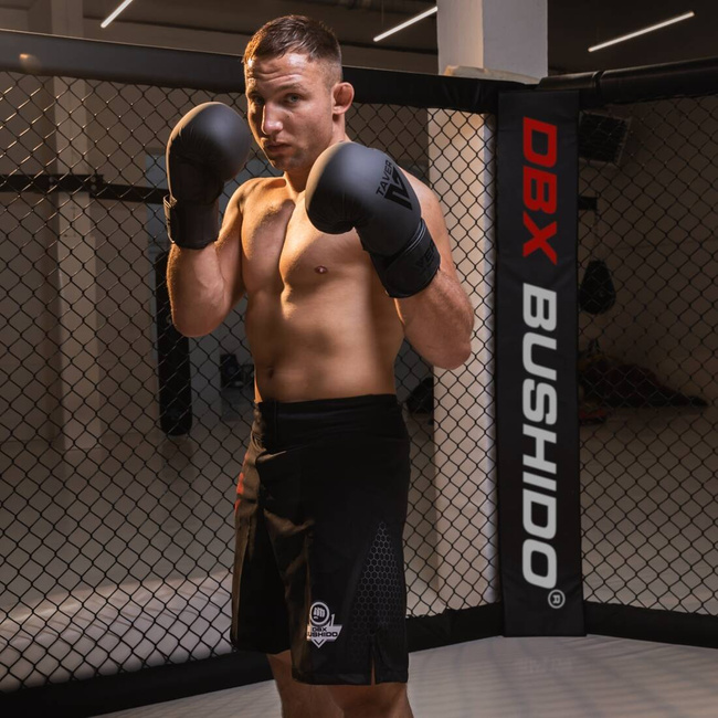 Boxing Gloves 14oz - Taver Black - Origin Series