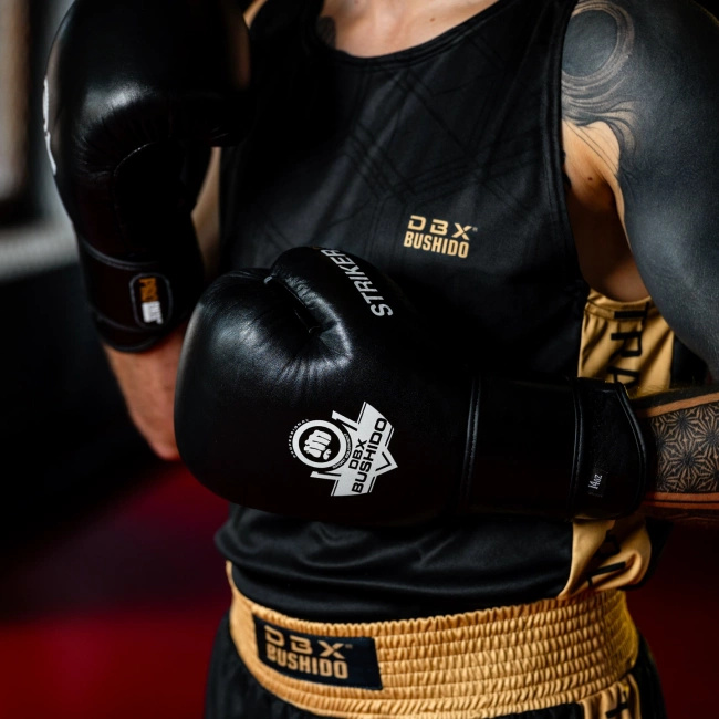 Rękawice bokserskie 10oz - Striker - Legacy Series | DBX Bushido