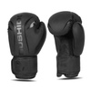 Boxing Gloves 10oz - Raptor - Origin Series