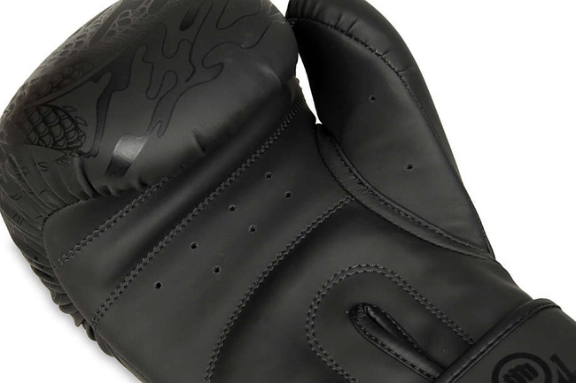 Boxing Gloves 10oz - Black Dragon - Valor Series