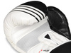 Boxing Gloves 12oz - Edge - Valor Series