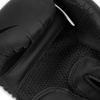 Boxing Gloves 10oz - Raptor - Origin Series