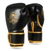 Rękawice bokserskie wielowarstwowe - ProFighter Gold - Legacy Series | DBX Bushido