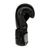 Boxing Set: B-2v9 10oz Gloves + Wraps + DBX DRYER Refresher