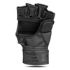 E1v3 MMA gloves DBX BUSHIDO M