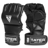 T-E1V3 DBX BUSHIDO M MMA gloves