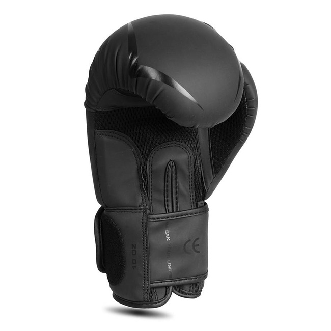 Boxing Gloves 10oz - Raptor - Origin Series