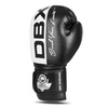 Boxing Gloves 10oz - Harmony - Valor Series