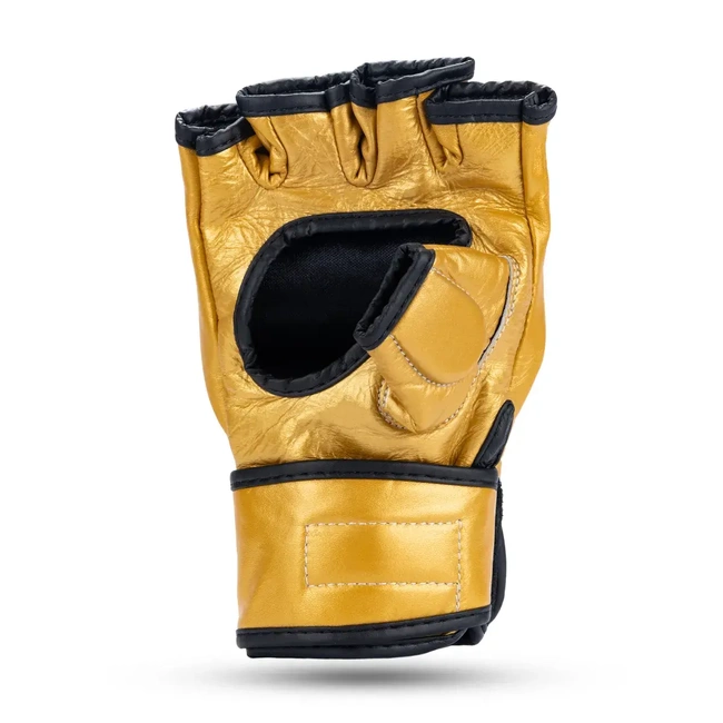 Leather MMA gloves DBX BUSHIDO E1v3 GOLD L