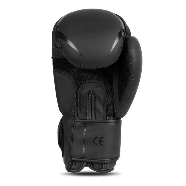 Boxing Gloves 10oz - Raptor - Origin Series
