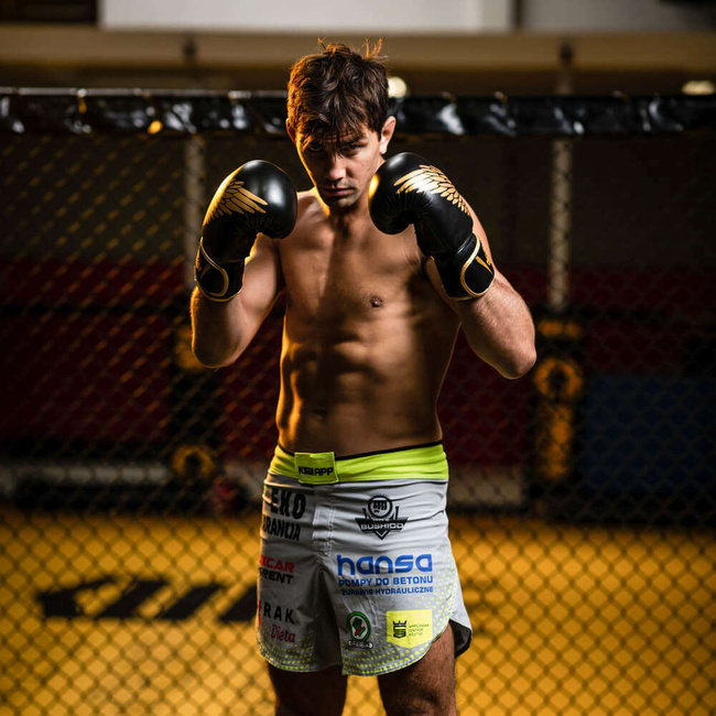 Rękawice bokserskie 10oz - Hawk - Origin Series | DBX Bushido